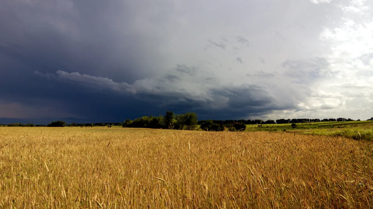 Nubes oscuras de tormenta acumuladas sobre un campo abierto al atardecer.