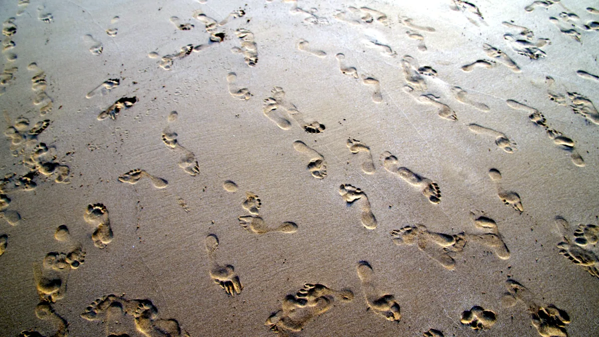 Huellas de pies humanas dejadas en la arena humeda junto a la orilla del mar.